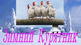 Зимний курятник