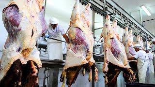 Cow Slaughter & Beef Cutting Line - Doner Kebab Meat Production Factory - Leather Processing Process
