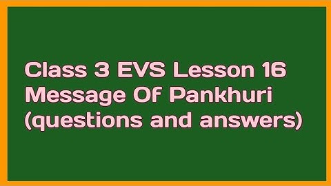 Class 3 EVS Lesson 16 Message Of Pankhuri (questions and answers)