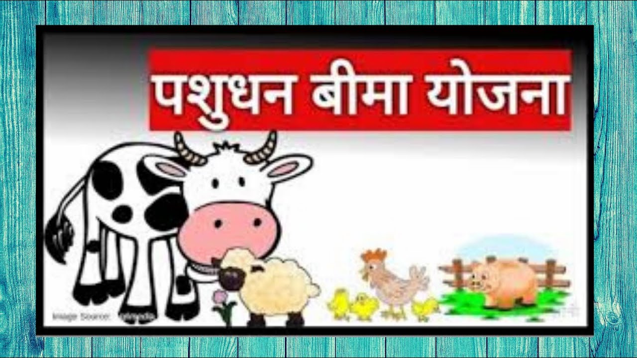 7. LIVESTOCK INSURANCE SCHEME NATIONAL LIVESTOCK MISSION