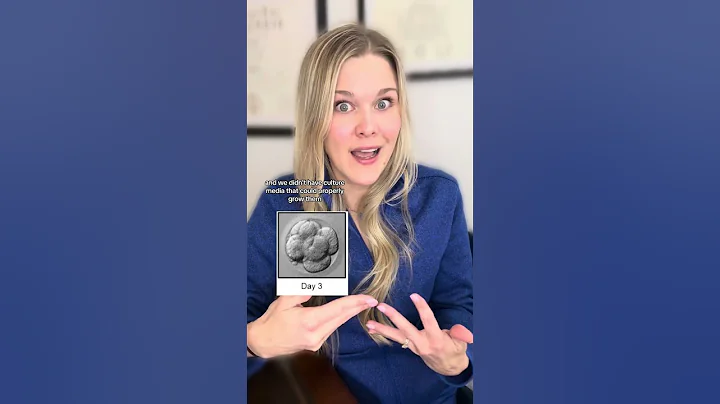 Are day 3 or day 5 embryos better?