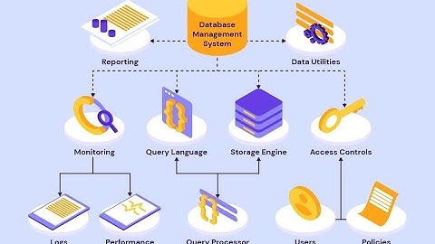 Database Management: Mastering the Art of Data Organization (39 Minutes)