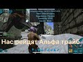 Нас рейдят Альфа трайб ПВП | ARK survival evolved mobile