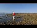 Mejillones y ostiones de baja mar, así los preparé