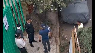 En Un Parque Público Derriban a Hachazos a Idefensos Árbolitos