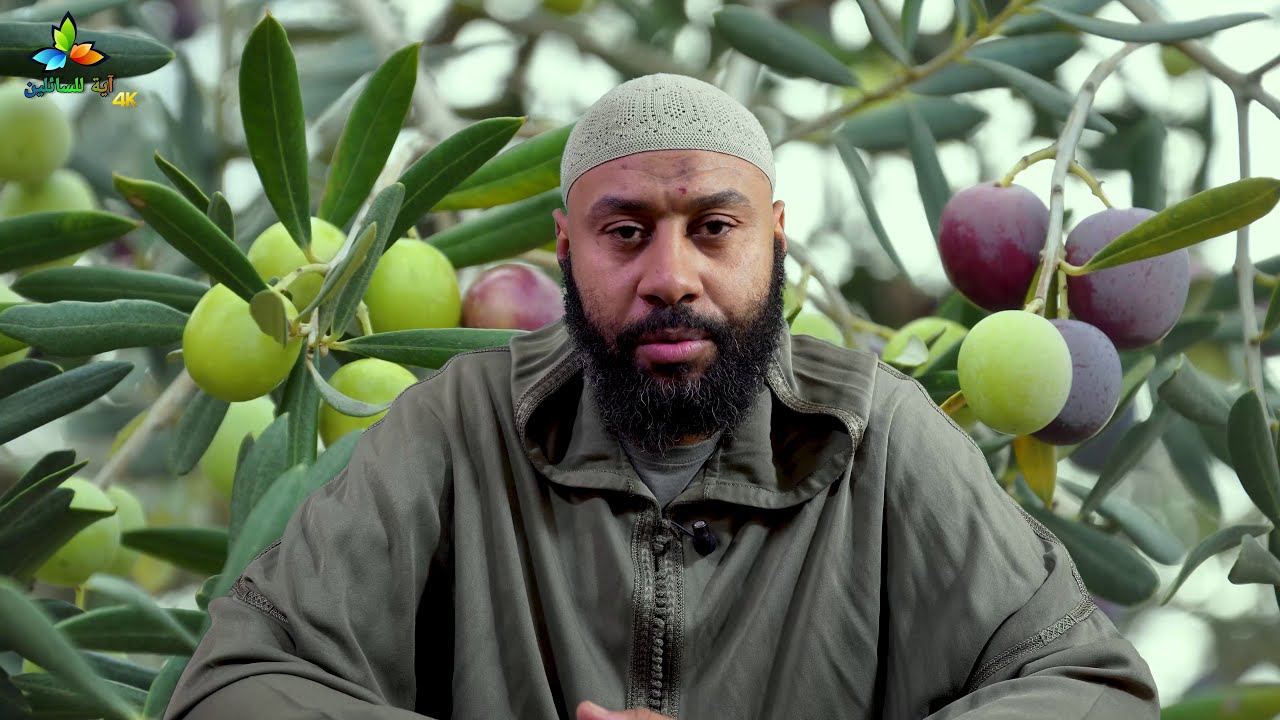 هل تجب الزكاة في الزيتون؟ - الشيخ حسن خبيري