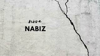 Nabız