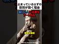 止まっているはずの彫刻が動く理由