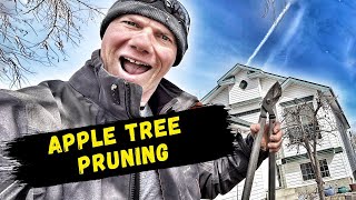 Apple tree pruning - NOT a How-To by Euro Yard Service 30 views 1 month ago 6 minutes, 5 seconds