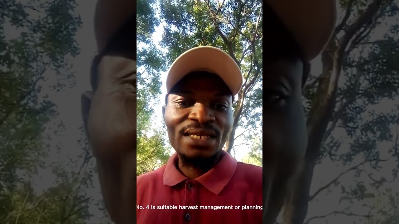 5 Применение ГИС в лесном хозяйстве | Лесное хозяйство и ГИС