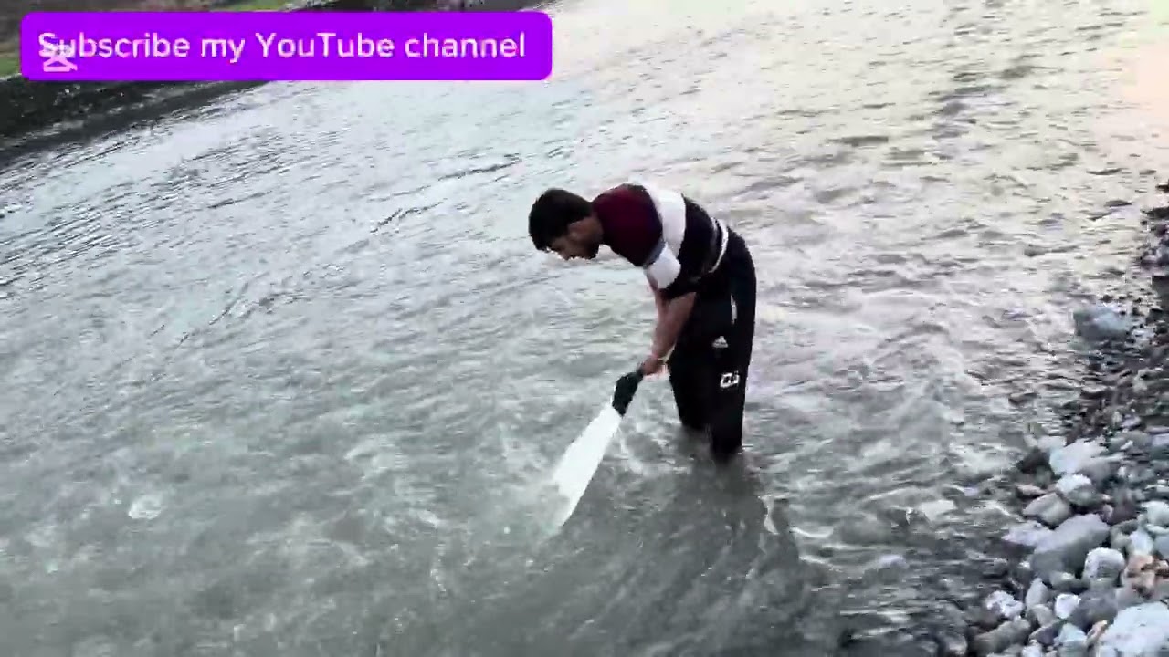 How to catch snow trout fishing | Wild river snow trout catch | Traditional net fishing# fishing 