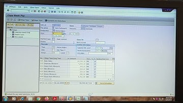 How to Update Incremented Basic in SAP Module