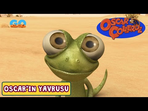 Oscar Çöllerde 🦎 | Oscar'ın Yavrusu​​​​ ​| Minika