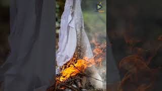 American Woman Celebrates Her Divorce By Burning Her Wedding Dress | Viral Stories #shorts  #viral