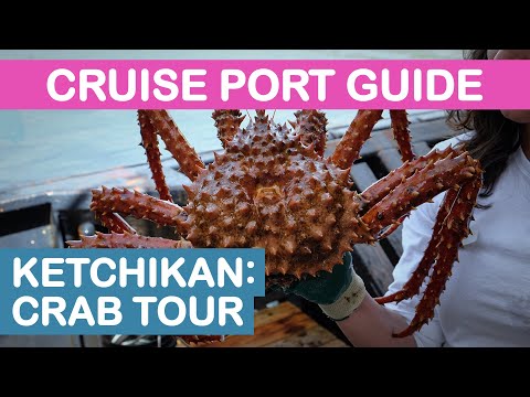 فيديو: كيتشيكان - ميناء ألاسكا للرحلات البحرية