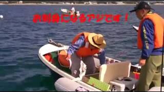 津屋崎ボートハウス２０１２アジ釣大会