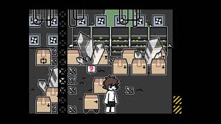 Changed: Special Edition Mirror Movement Puzzle