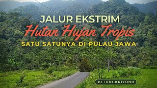 JALUR EKSTRIM Dieng Pekalongan lewat Hutan Hujan Tropis Satu Satunya di Pulau Jawa