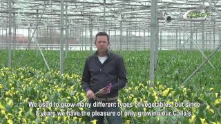 De Haas (english subtitles) screenshot 4