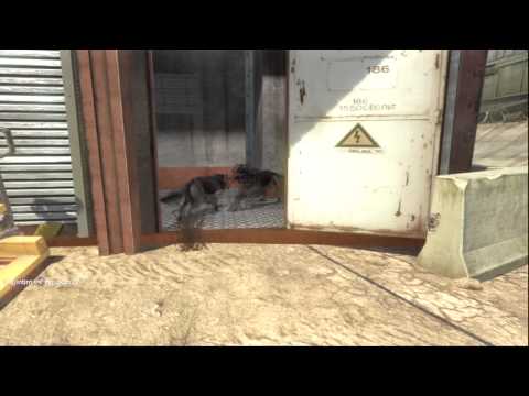 COD:BO 俺の軍用犬がこんなに馬鹿なわけがない