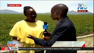 Kenya still struggling with growing tourist numbers