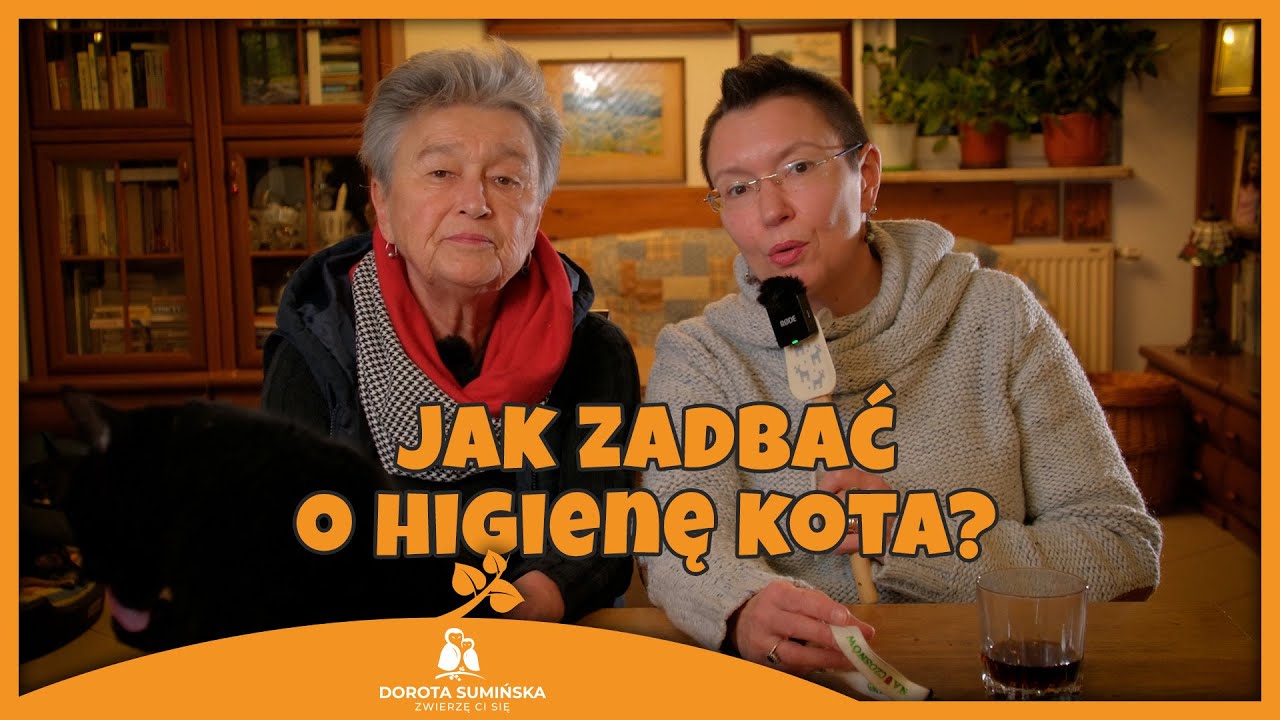PORADNIK #36: Jak zadbać o higienę kota?
