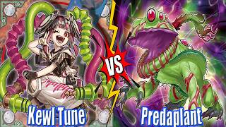 Kewl Tune vs Predaplant & Predaplant vs Power Patron - NEW BANLIST DB Yu-Gi-Oh!