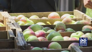 Early apple season begins during peak peach season at Franklin County farms