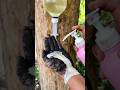 Survival Hack: How to Make the Most of Your Last Soap in the Wild! #ideas