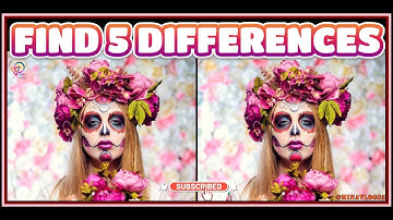 Spot the Difference Challenge! Episode 62 🔍 | #hinavlogs5