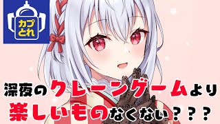 【カプとれ】深夜のゲーセンだあああああああああああッ【にじさんじ/葉加瀬冬雪 】