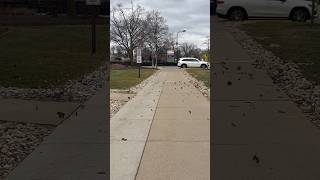 High wind today in Park Ridge IL