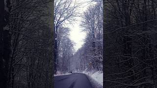 Manzaraya 🤍Bıraktım Şfet