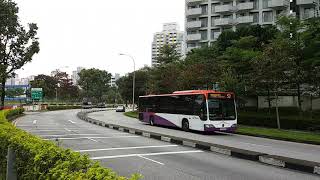 Bishan Ridges Singapore BTO 2020 -  Traffic Situation