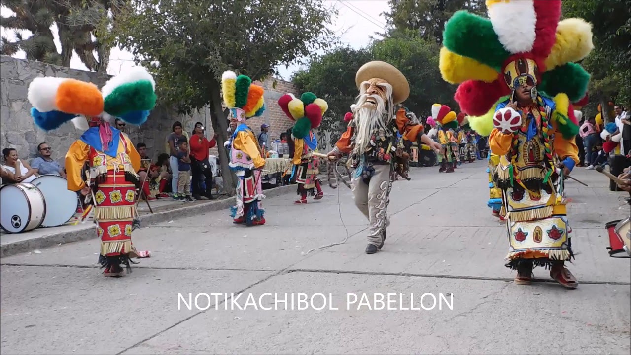DANZA DE MATLACHINES LOS VENADOS DE AGS  EN PABELLON