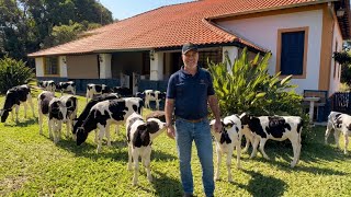 COMO ELE GANHA DINHEIRO COM CONFINAMENTO DE BEZERROS REJEITADOS (GABIRU)
