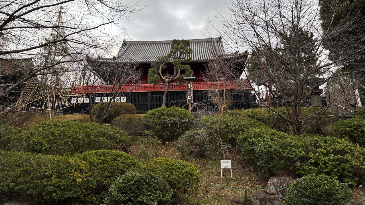 上野公園｜都会の中の静かな癒し