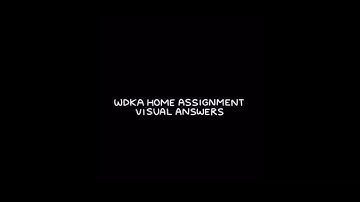 WDKA Home Assignment - Visual Answers