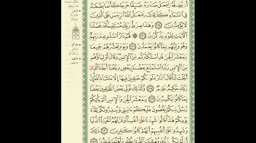 الورد اليومى.. سورة الأنعام من الاية 125 الى الاية 131 بصوت القارئ الشيخ ياسر الدوسرى