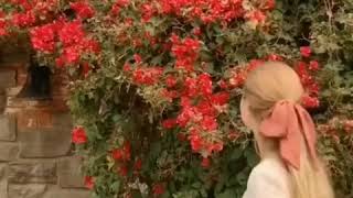 Bir Kızıl Goncaya Benzer Dudağın - 𝓼𝓲𝓷𝓮𝓳𝓪𝓷