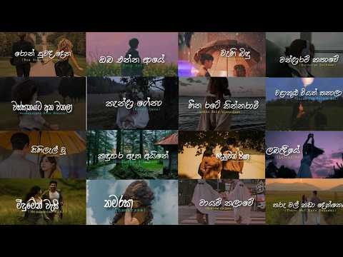 මනෝපාරකට 🌸✨🤍 (Manoparakata) | Mind Relaxing Sinhala Songs Collection #trending #viral #fypシ