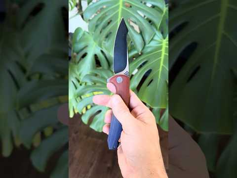WE Knife Co 617 Custom Dyed Orange Blue G10 Steel Liner Titanium hardware and backspacer  budget