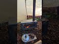Hot tent camping in the woods, brewtime #hottent #camping @POMOLY