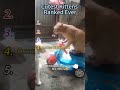 Top 5 Smartest Cats You Won’t Believe 🤯 #cats #ranking #smart #oop #funny #power #cat #viral