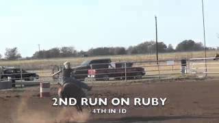 CHC PRO RODEO/1D HORSE: RUBY ANN