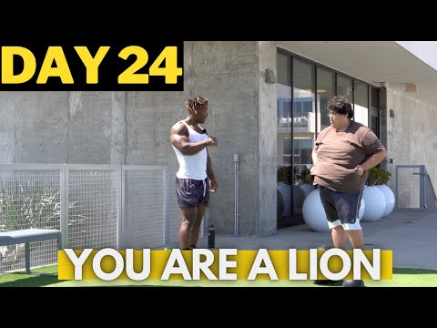 THE BULKY SHOW - DAY 24