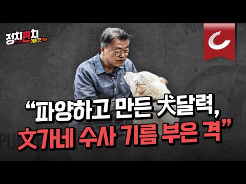 [정치펀치 어퍼컷🥊] 文 <strong>풍산개</strong> 둘러싼 정치권 &amp;#39;개 <strong>싸움</strong>&amp;#39;, &amp;#39;개 달력 <strong>싸움</strong>&amp;#39;으로 번져...  | &amp;quot;李 시선 돌리기 급급한 野...