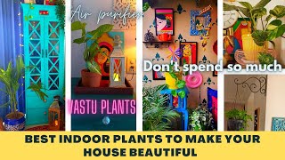 This festive Season Decorate your House like this with plantsl Indoor plants to decorate your House