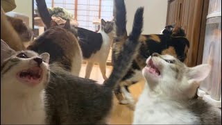 タイトルが決まらなかったです