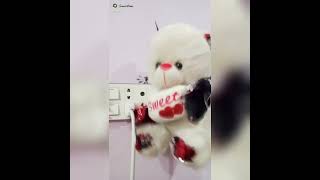 I NEED HELP| TEDDY KO LG GAII CURRENT